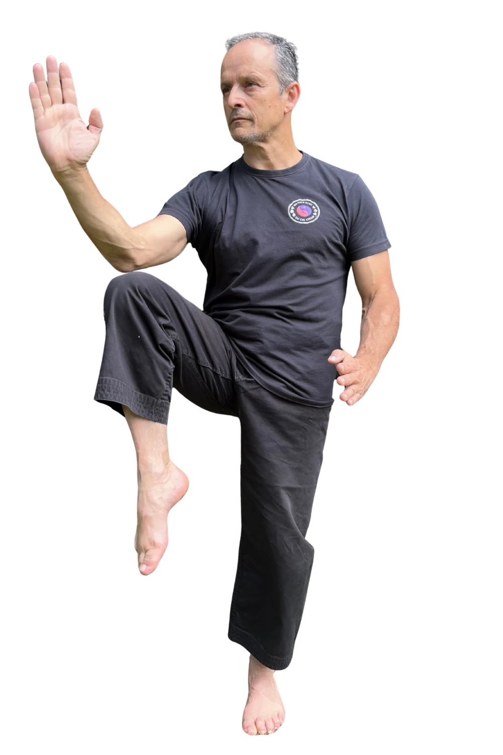 clases online taichi con felix bargados portada 2