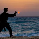 LOS ORGANIZADORES CENTRALES DEL TAIJI