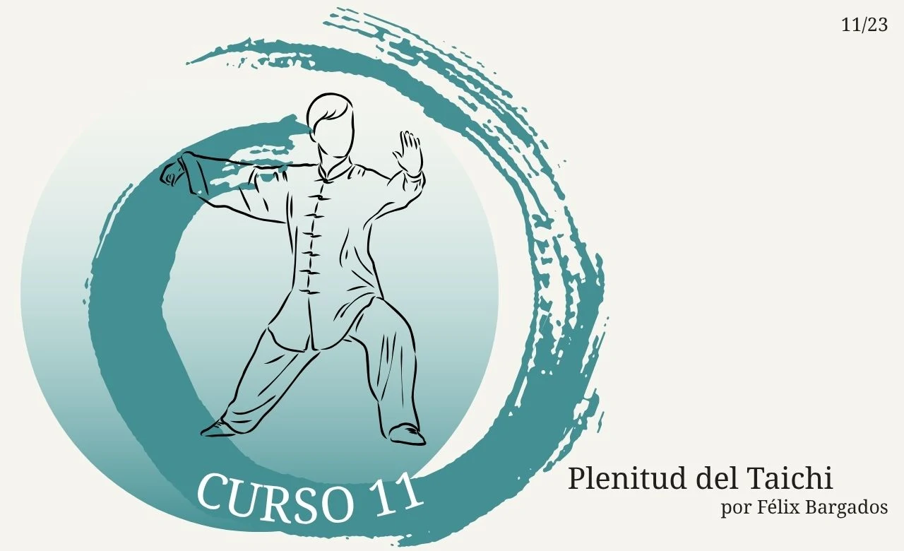 plenitud-del-taichi-experto-curso-11