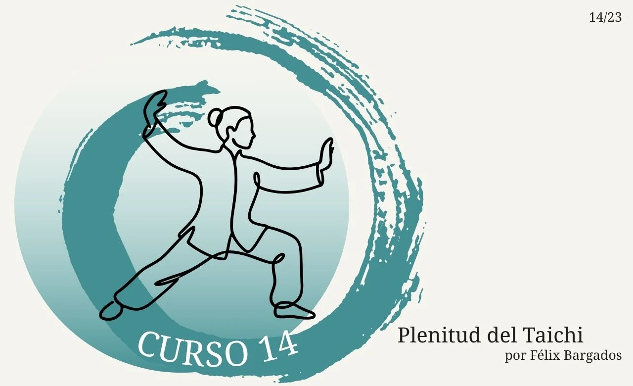 plenitud-del-taichi-experto-curso-14