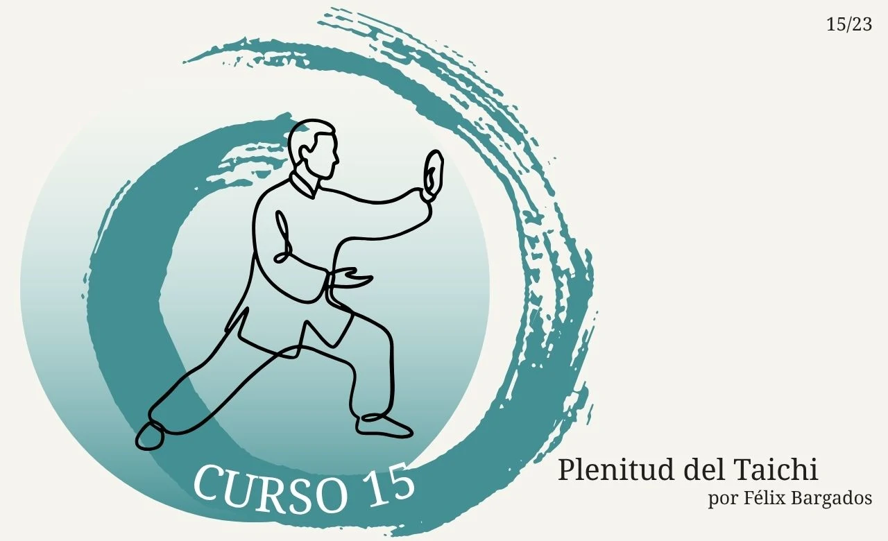 plenitud-del-taichi-experto-curso-15