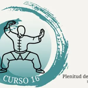 plenitud-del-taichi-experto-curso-16