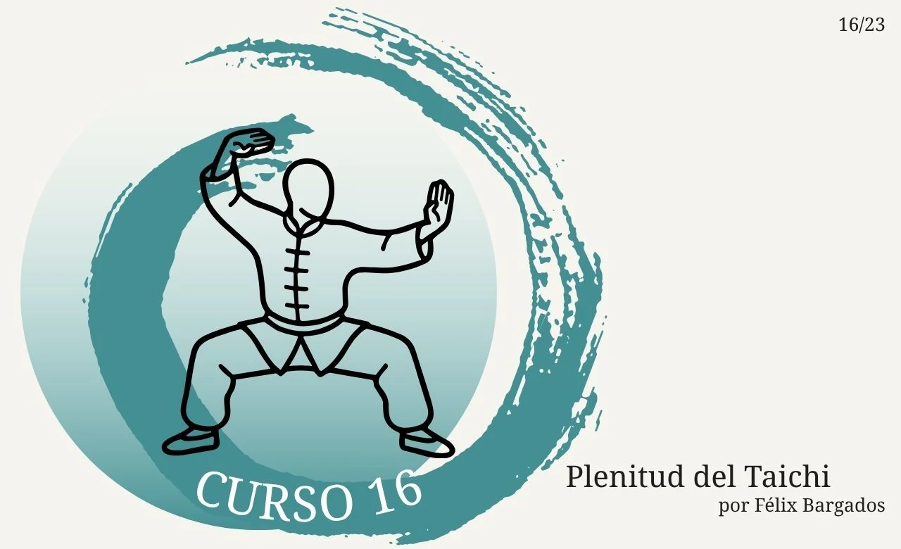 plenitud-del-taichi-experto-curso-16