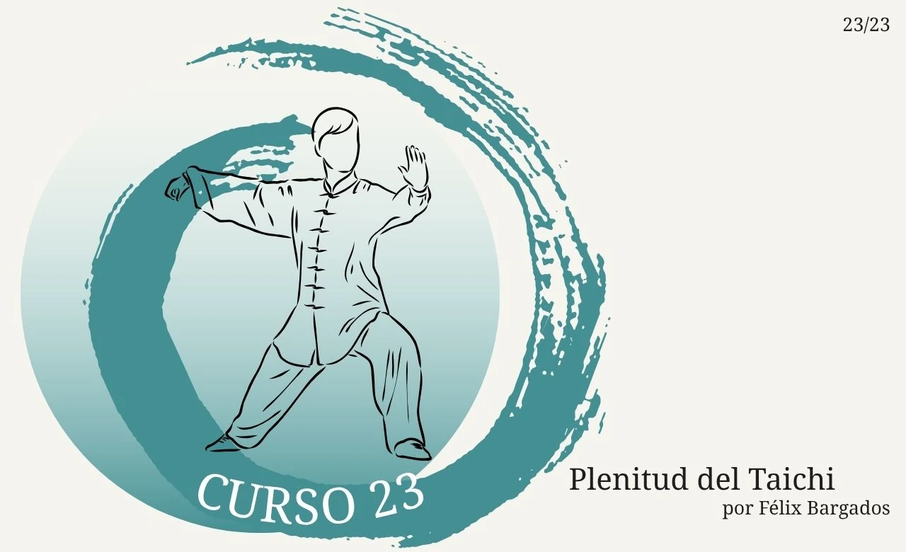 plenitud-del-taichi-experto-curso-23