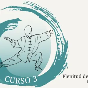 plenitud-del-taichi-experto-curso-3