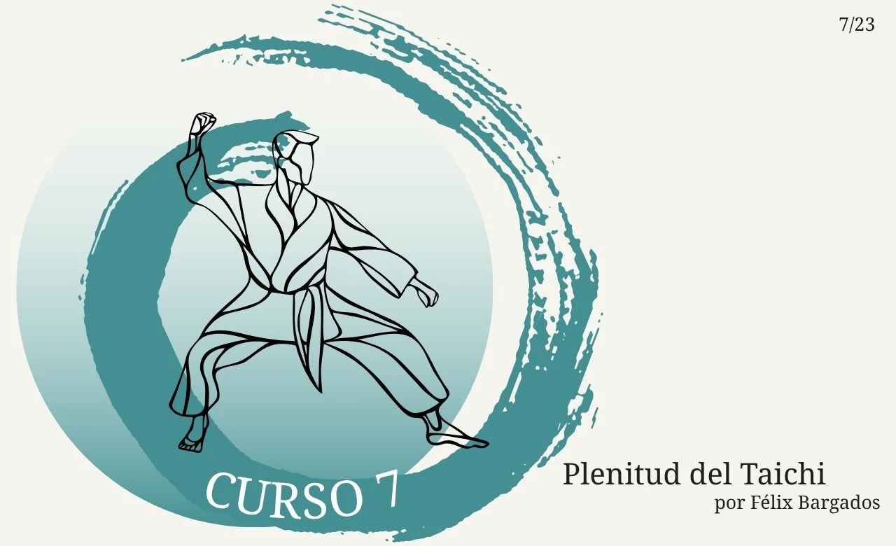plenitud-del-taichi-experto-curso-7