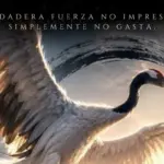 La Grulla del Taiji: el arte de hacer solo lo necesario