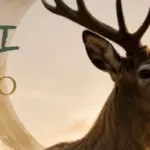 Taiji del ciervo | Adaptación y sensibilidad interna