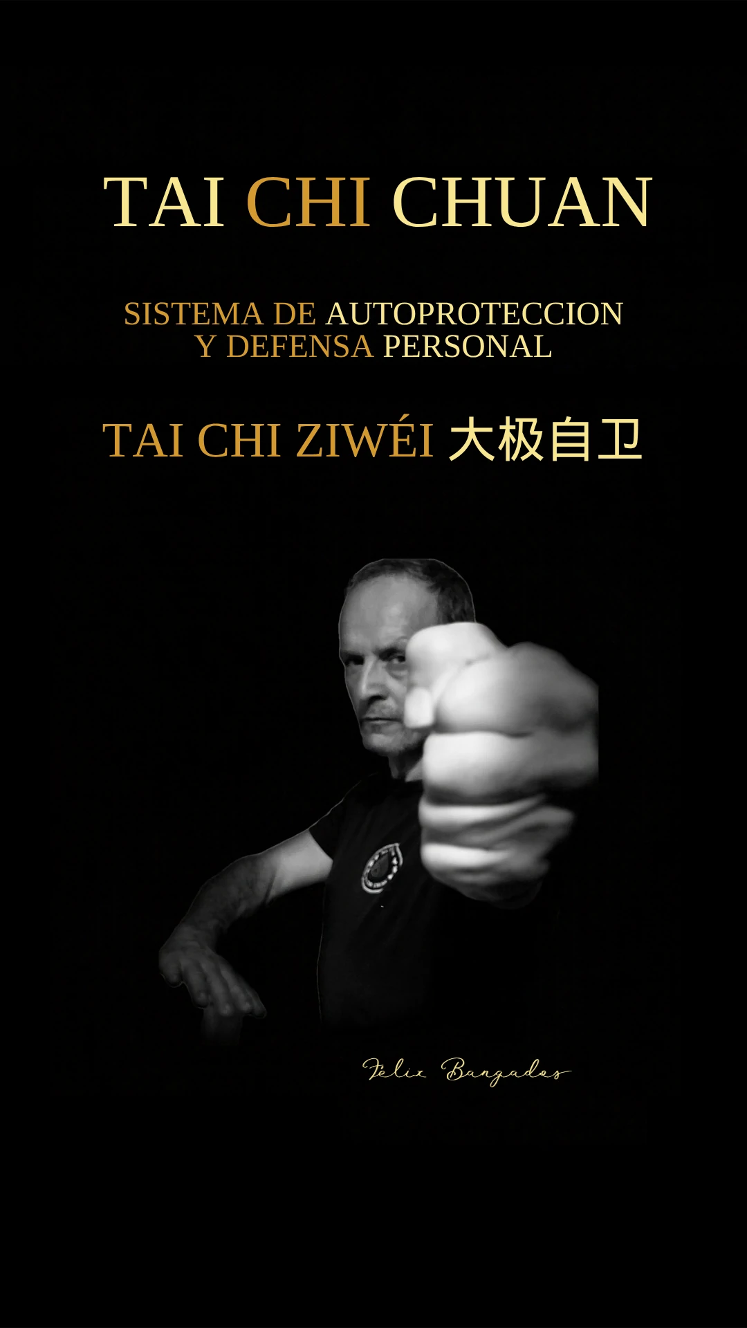 Tai Chi Chuan Sistema de Autoprotección y Defensa Personal Tai Chi Ziwéi 太极自卫 de Félix Bargados