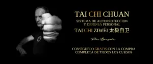 Lee más sobre el artículo Libro Tai Chi Ziwéi