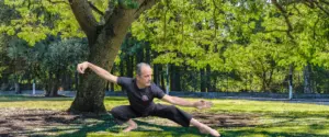Lee más sobre el artículo Profesor de Tai Chi. Docencia y formación