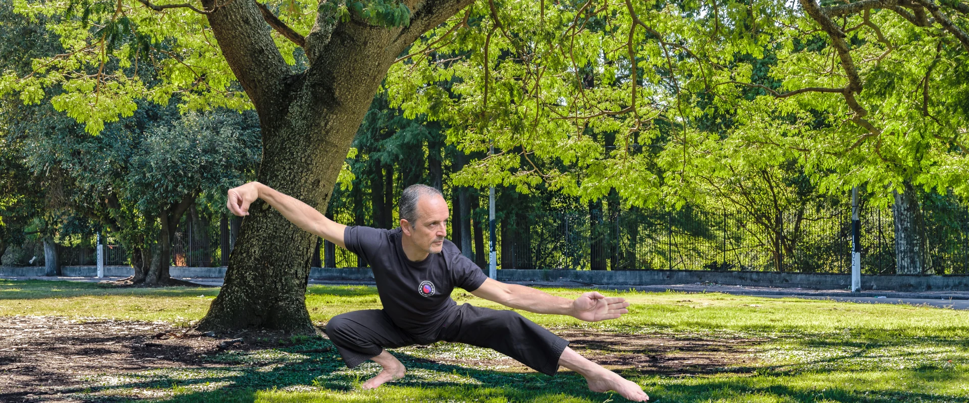 En este momento estás viendo Profesor de Tai Chi. Docencia y formación